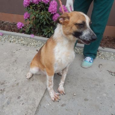982061600066672